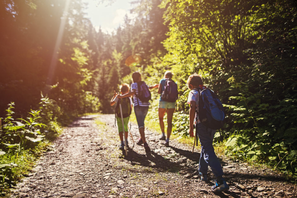 Family hiking on a wooded trail