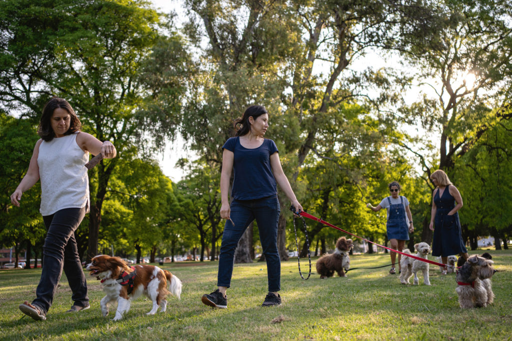 Dog-walkers walking around a public park